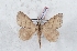  ( - Bc-Her5466)  @11 [ ] Unspecified (default): All Rights Reserved  Unspecified Unspecified