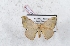  ( - Bc-Her5592)  @11 [ ] Unspecified (default): All Rights Reserved  Unspecified Unspecified