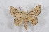  ( - Bc-Her5612)  @11 [ ] Unspecified (default): All Rights Reserved  Unspecified Unspecified