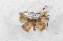  ( - Bc-Her5616)  @11 [ ] Unspecified (default): All Rights Reserved  Unspecified Unspecified