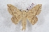  ( - Bc-Her5625)  @11 [ ] Unspecified (default): All Rights Reserved  Unspecified Unspecified