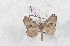  ( - Bc-Her5631)  @11 [ ] Unspecified (default): All Rights Reserved  Unspecified Unspecified