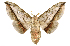  ( - Bc-Her5684)  @11 [ ] Unspecified (default): All Rights Reserved  Unspecified Unspecified