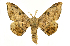  ( - Bc-Her5692)  @11 [ ] Unspecified (default): All Rights Reserved  Unspecified Unspecified