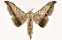  ( - Bc-Her5693)  @11 [ ] Unspecified (default): All Rights Reserved  Unspecified Unspecified