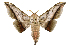  ( - Bc-Her5697)  @11 [ ] Unspecified (default): All Rights Reserved  Unspecified Unspecified