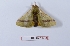  ( - Bc-Her5715)  @11 [ ] Unspecified (default): All Rights Reserved  Unspecified Unspecified