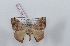  ( - Bc-Her5777)  @11 [ ] Unspecified (default): All Rights Reserved  Unspecified Unspecified