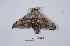  ( - Bc-Her5808)  @11 [ ] Unspecified (default): All Rights Reserved  Unspecified Unspecified