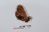  ( - Bc-Her5822)  @11 [ ] Unspecified (default): All Rights Reserved  Unspecified Unspecified