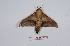  ( - Bc-Her5829)  @11 [ ] Unspecified (default): All Rights Reserved  Unspecified Unspecified