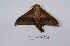  ( - Bc-Her5834)  @11 [ ] Unspecified (default): All Rights Reserved  Unspecified Unspecified