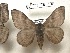  ( - Bc-Her5920)  @11 [ ] Unspecified (default): All Rights Reserved  Unspecified Unspecified