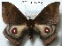  ( - Bc-Her5937)  @11 [ ] Unspecified (default): All Rights Reserved  Unspecified Unspecified