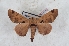  ( - Bc-Her5993)  @11 [ ] Unspecified (default): All Rights Reserved  Unspecified Unspecified