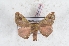 ( - Bc-Her6008)  @11 [ ] Unspecified (default): All Rights Reserved  Unspecified Unspecified