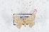  ( - Bc-Her6009)  @11 [ ] Unspecified (default): All Rights Reserved  Unspecified Unspecified