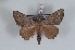  ( - Bc-Her6011)  @11 [ ] Unspecified (default): All Rights Reserved  Unspecified Unspecified