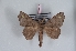  ( - Bc-Her6014)  @11 [ ] Unspecified (default): All Rights Reserved  Unspecified Unspecified