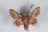  ( - Bc-Her6025)  @11 [ ] Unspecified (default): All Rights Reserved  Unspecified Unspecified