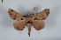  ( - Bc-Her6034)  @11 [ ] Unspecified (default): All Rights Reserved  Unspecified Unspecified