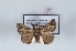  ( - Bc-Her6053)  @11 [ ] Unspecified (default): All Rights Reserved  Unspecified Unspecified