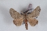  ( - Bc-Her6054)  @11 [ ] Unspecified (default): All Rights Reserved  Unspecified Unspecified