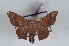  ( - Bc-Her6055)  @11 [ ] Unspecified (default): All Rights Reserved  Unspecified Unspecified
