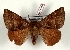  ( - Bc-Her6058)  @11 [ ] Unspecified (default): All Rights Reserved  Unspecified Unspecified