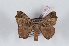  ( - Bc-Her6060)  @11 [ ] Unspecified (default): All Rights Reserved  Unspecified Unspecified