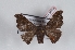  ( - Bc-Her6063)  @11 [ ] Unspecified (default): All Rights Reserved  Unspecified Unspecified