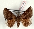  ( - Bc-Her6064)  @11 [ ] Unspecified (default): All Rights Reserved  Unspecified Unspecified