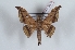  ( - Bc-Her6079)  @11 [ ] Unspecified (default): All Rights Reserved  Unspecified Unspecified