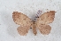  ( - Bc-Her6089)  @11 [ ] Unspecified (default): All Rights Reserved  Unspecified Unspecified