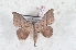  ( - Bc-Her6095)  @11 [ ] Unspecified (default): All Rights Reserved  Unspecified Unspecified