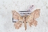  ( - Bc-Her6096)  @11 [ ] Unspecified (default): All Rights Reserved  Unspecified Unspecified