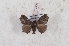  ( - Bc-Her6097)  @11 [ ] Unspecified (default): All Rights Reserved  Unspecified Unspecified