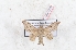  ( - Bc-Her6107)  @11 [ ] Unspecified (default): All Rights Reserved  Unspecified Unspecified