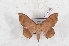  ( - Bc-Her6108)  @11 [ ] Unspecified (default): All Rights Reserved  Unspecified Unspecified
