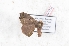 ( - Bc-Her6136)  @11 [ ] Unspecified (default): All Rights Reserved  Unspecified Unspecified
