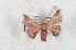  ( - Bc-Her6139)  @11 [ ] Unspecified (default): All Rights Reserved  Unspecified Unspecified