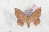  ( - Bc-Her6145)  @11 [ ] Unspecified (default): All Rights Reserved  Unspecified Unspecified