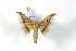  ( - BC-Her3660)  @13 [ ] Copyright (2010) Unspecified Research Collection of Daniel Herbin