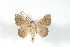  ( - BC-Her3670)  @13 [ ] Copyright (2010) Unspecified Research Collection of Daniel Herbin