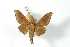  ( - BC-Her3677)  @11 [ ] Copyright (2010) Unspecified Research Collection of Daniel Herbin