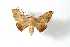  ( - BC-Her3731)  @12 [ ] Copyright (2010) Unspecified Research Collection of Daniel Herbin