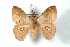  ( - BC-Her3734)  @14 [ ] Copyright (2010) Unspecified Research Collection of Daniel Herbin