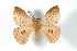  ( - BC-Her3736)  @14 [ ] Copyright (2010) Unspecified Research Collection of Daniel Herbin