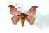  ( - BC-Her3793)  @13 [ ] Copyright (2010) Unspecified Research Collection of Daniel Herbin
