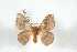  ( - BC-Her4031)  @13 [ ] Copyright (2010) Unspecified Research Collection of Daniel Herbin